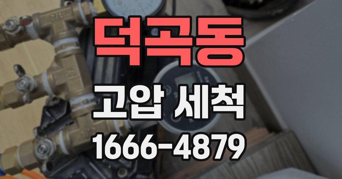 덕곡동 고압 세척