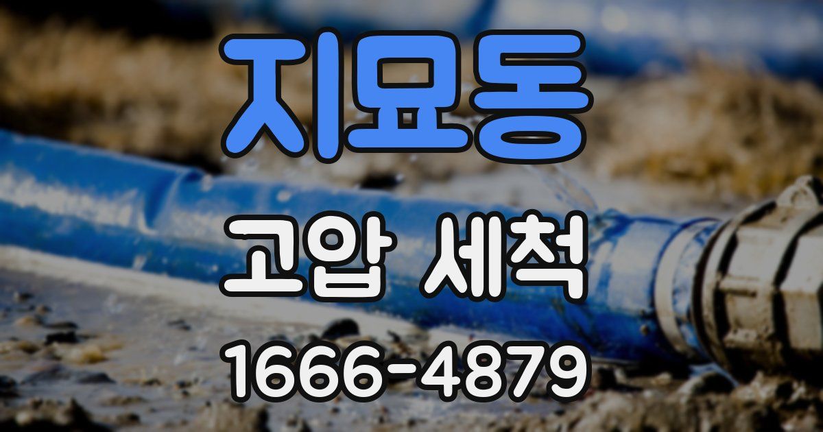 지묘동 고압 세척