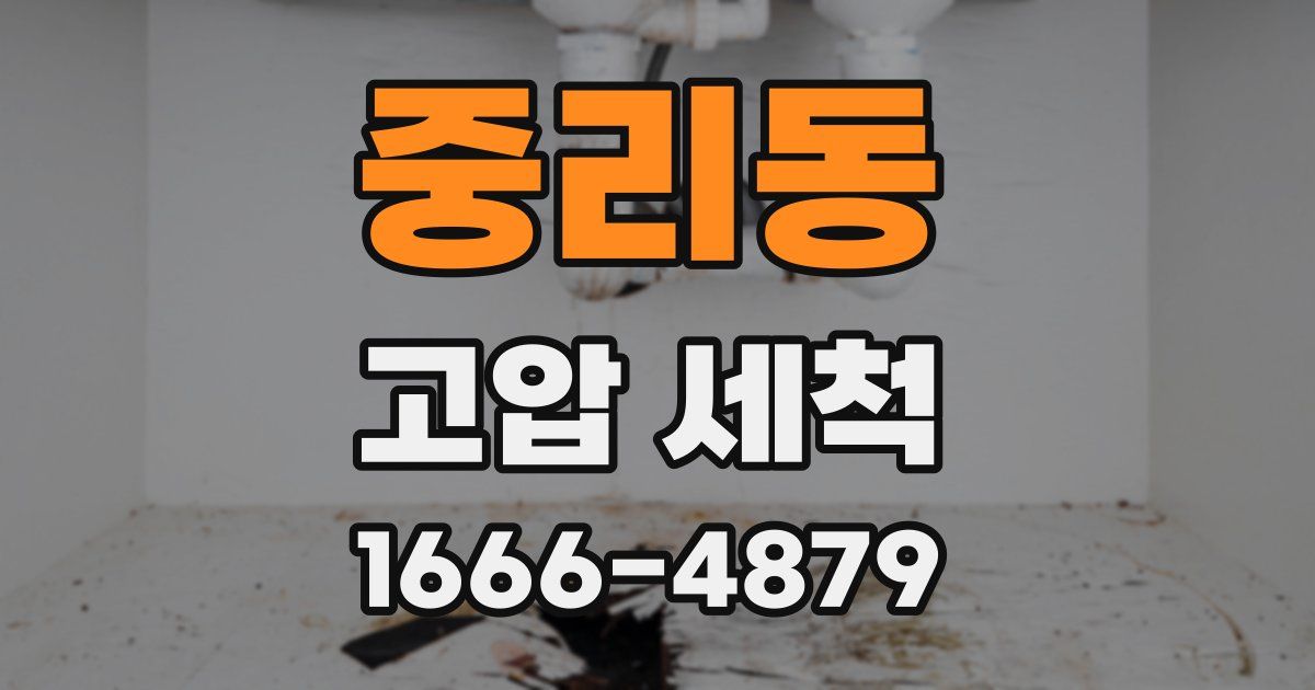 중리동 고압 세척
