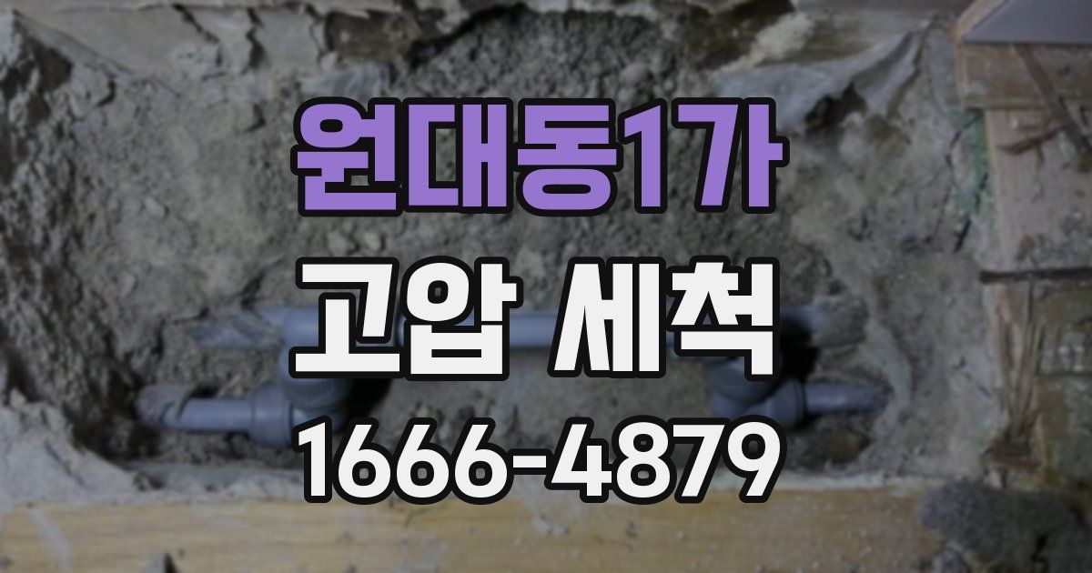 원대동1가 고압 세척