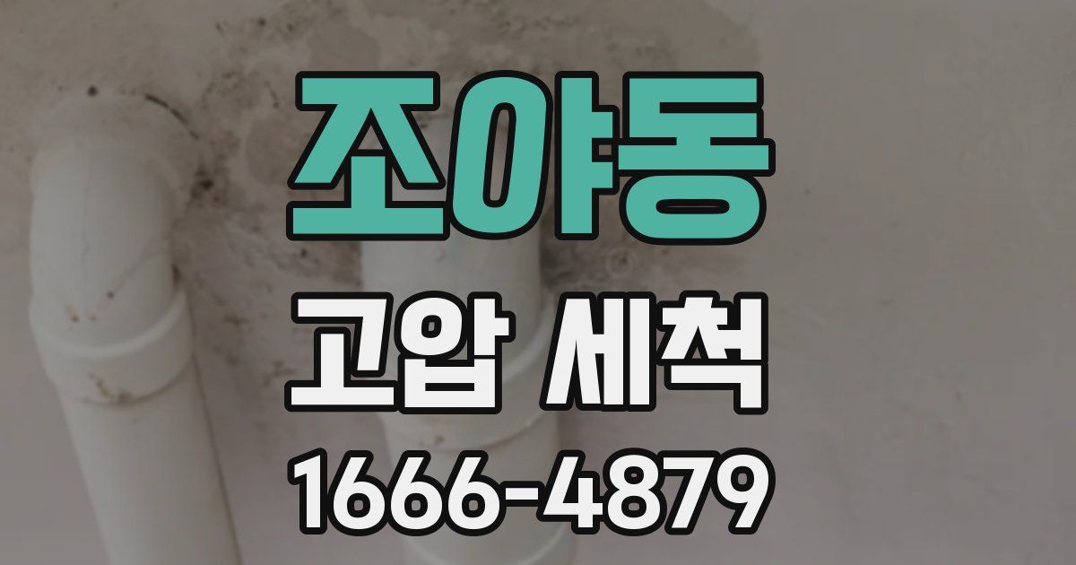 조야동 고압 세척