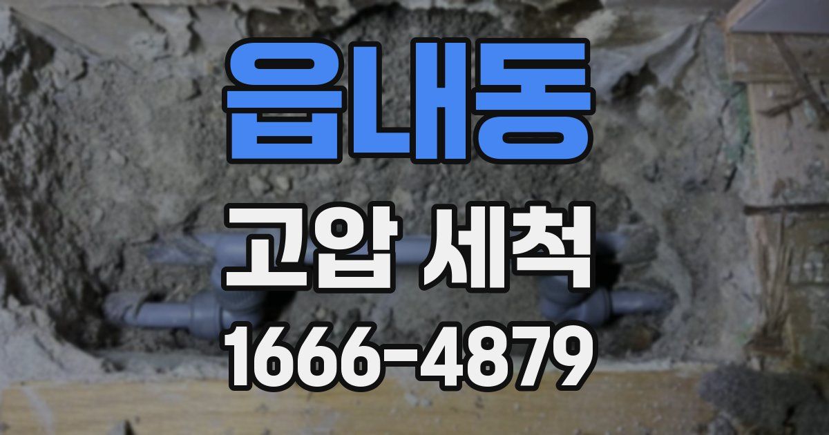 읍내동 고압 세척
