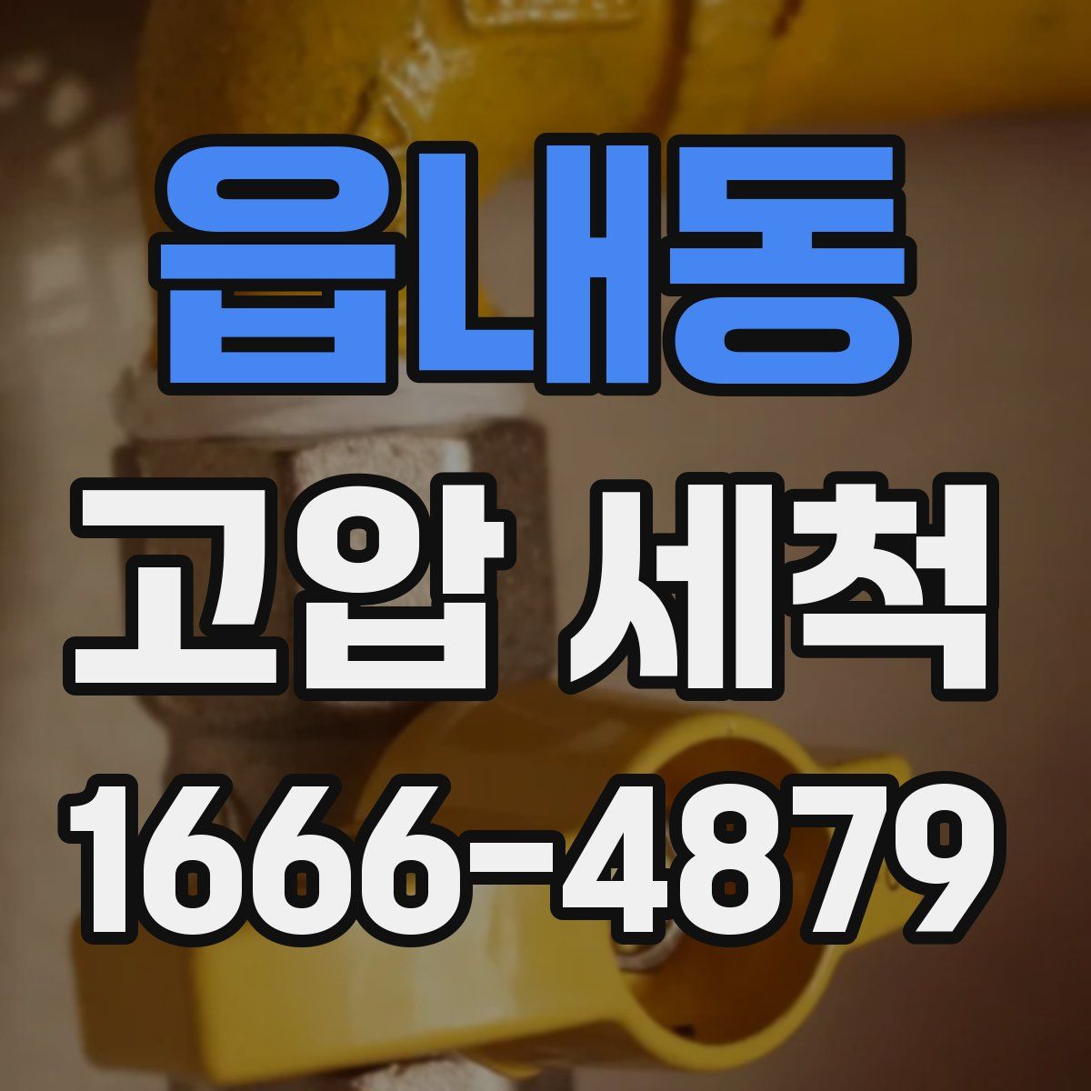 읍내동 고압 세척