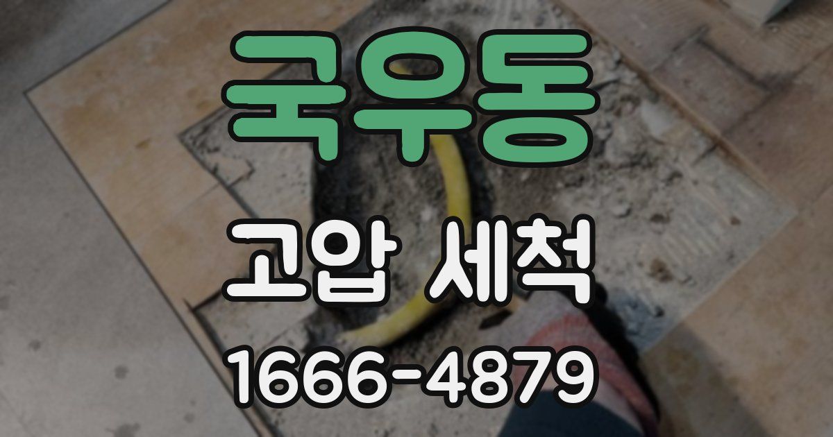 국우동 고압 세척