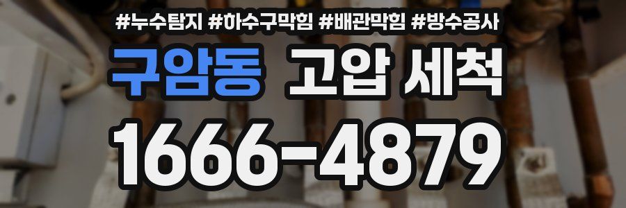 구암동 고압 세척
