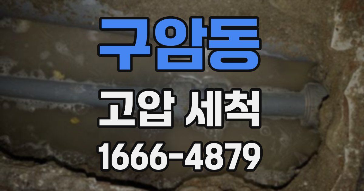 구암동 고압 세척