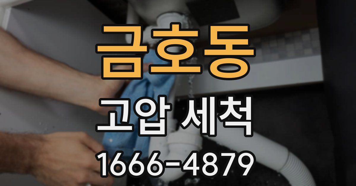 금호동 고압 세척