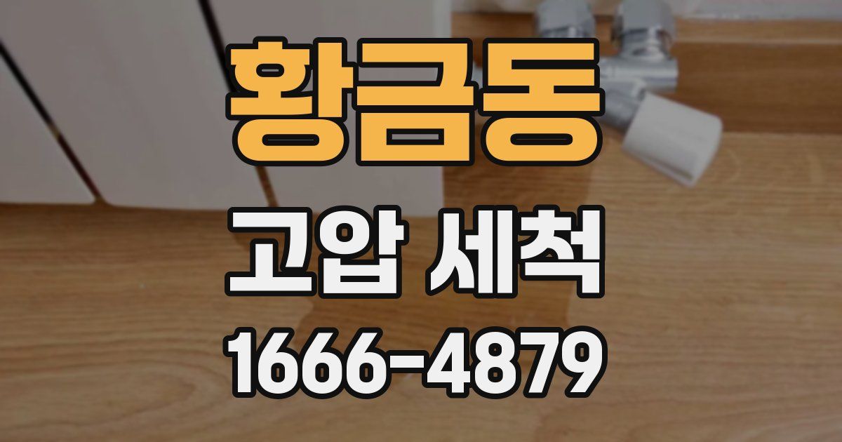 황금동 고압 세척