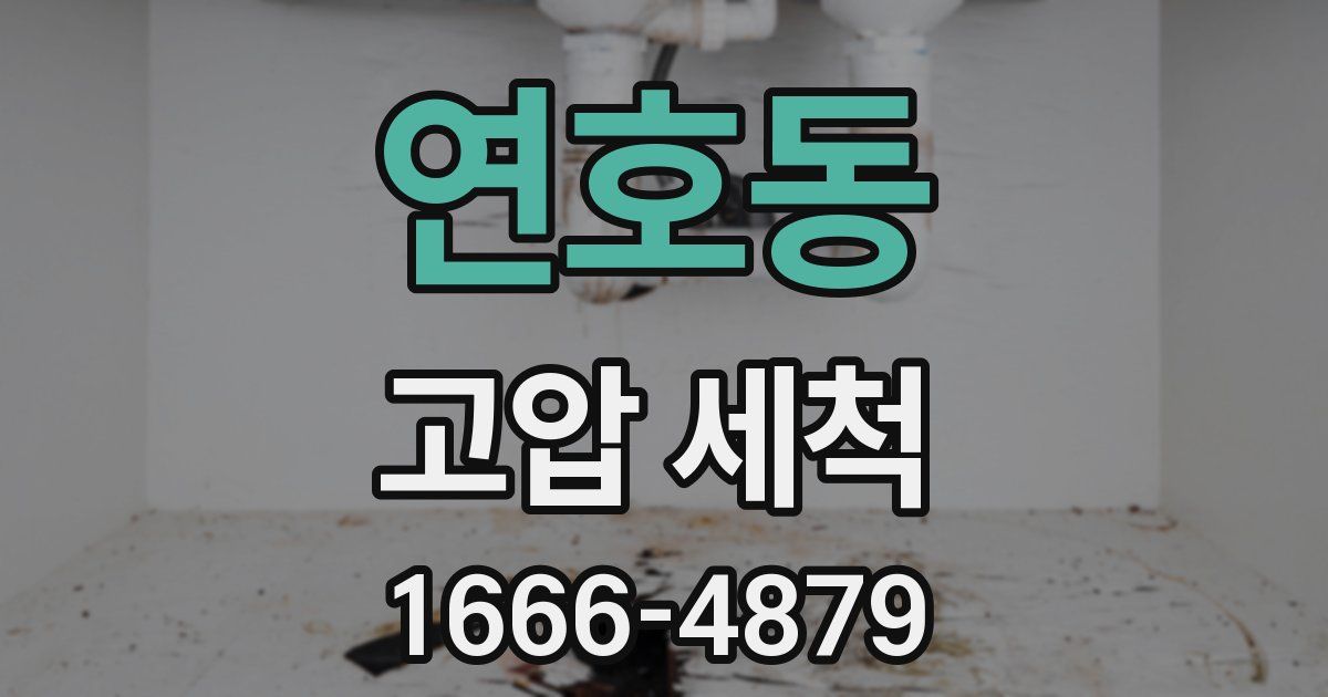 연호동 고압 세척