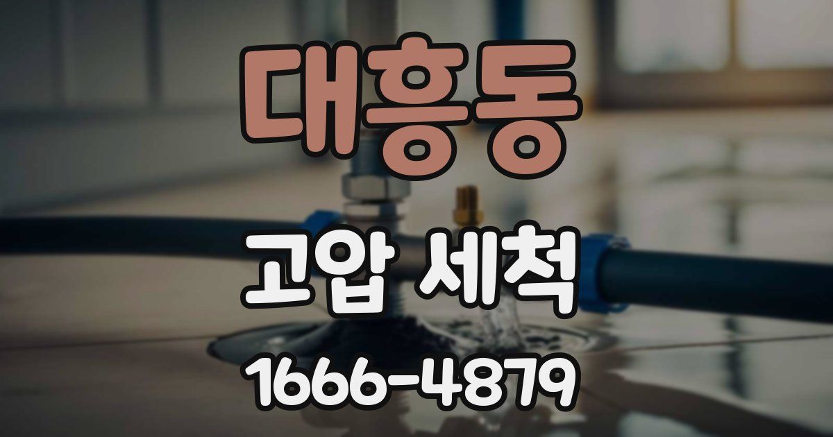대흥동 고압 세척