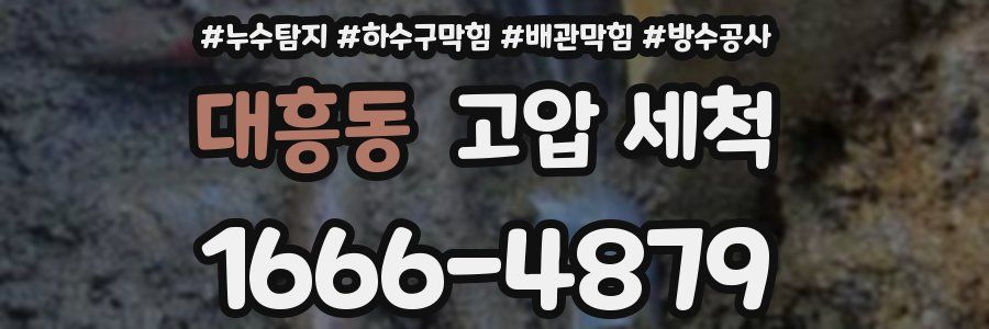 대흥동 고압 세척