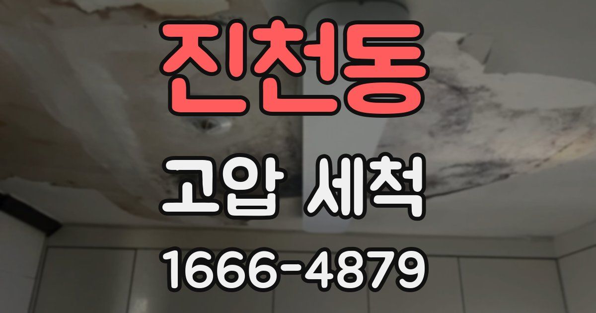 진천동 고압 세척
