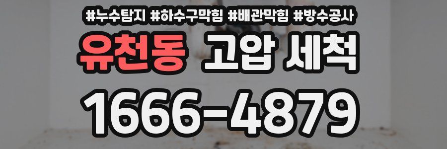 유천동 고압 세척