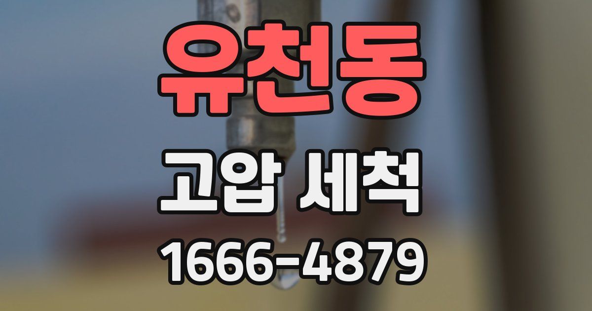 유천동 고압 세척