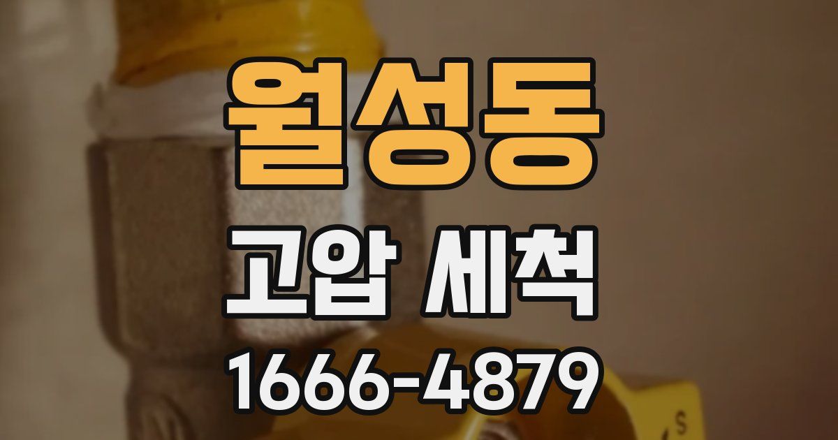 월성동 고압 세척