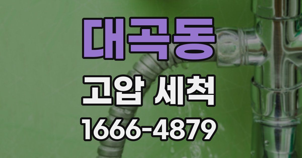 대곡동 고압 세척