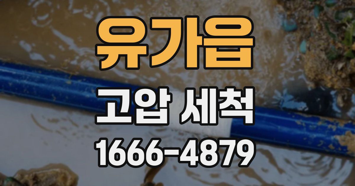 유가읍 고압 세척