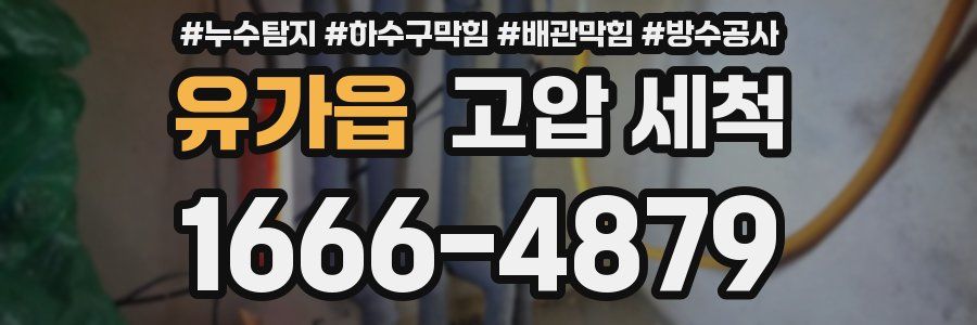유가읍 고압 세척