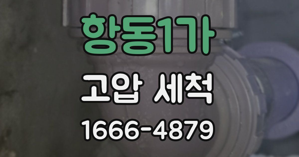 항동1가 고압 세척