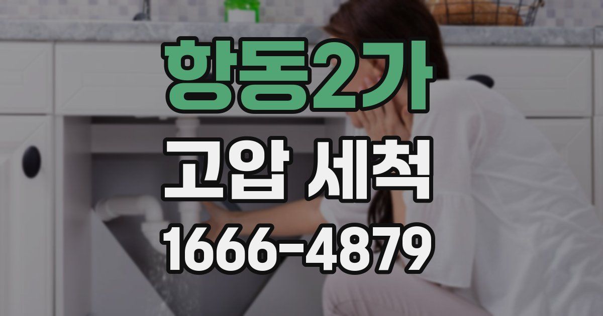 항동2가 고압 세척