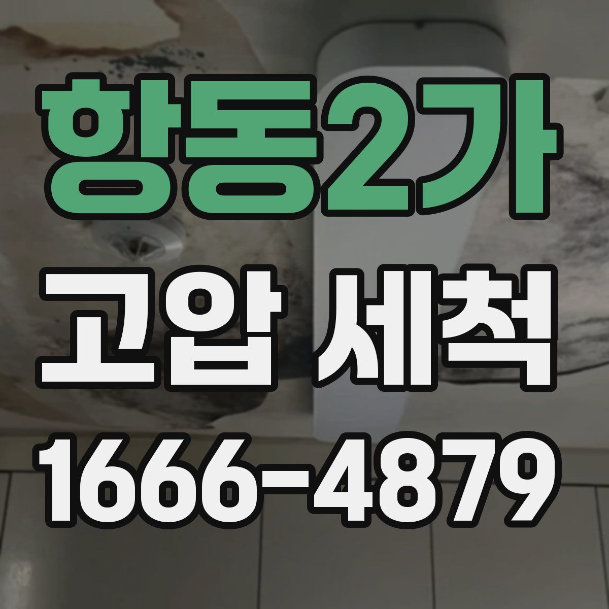 항동2가 고압 세척