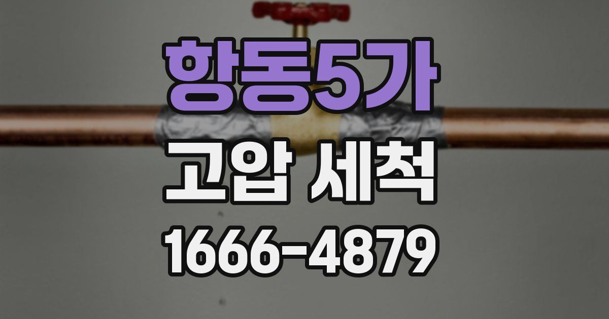항동5가 고압 세척
