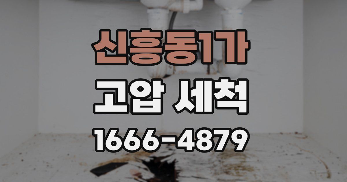 신흥동1가 고압 세척