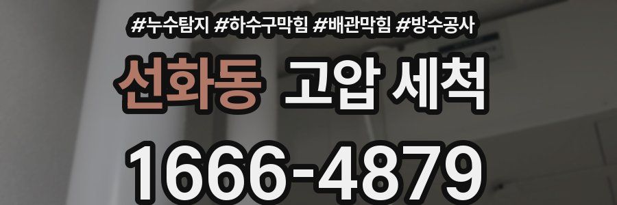 선화동 고압 세척