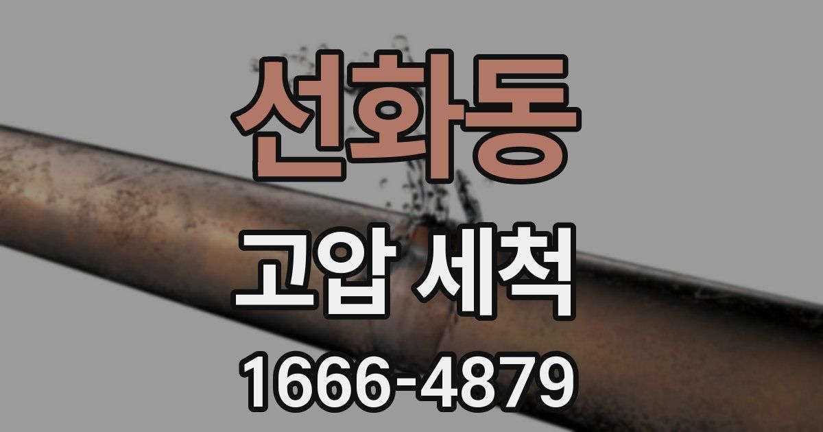 선화동 고압 세척