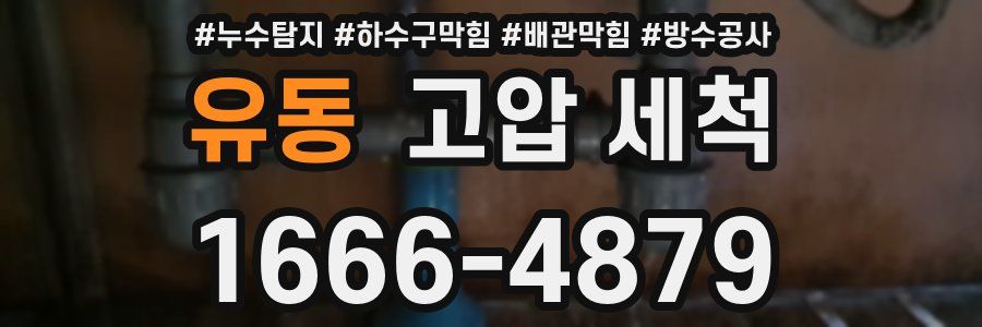 유동 고압 세척