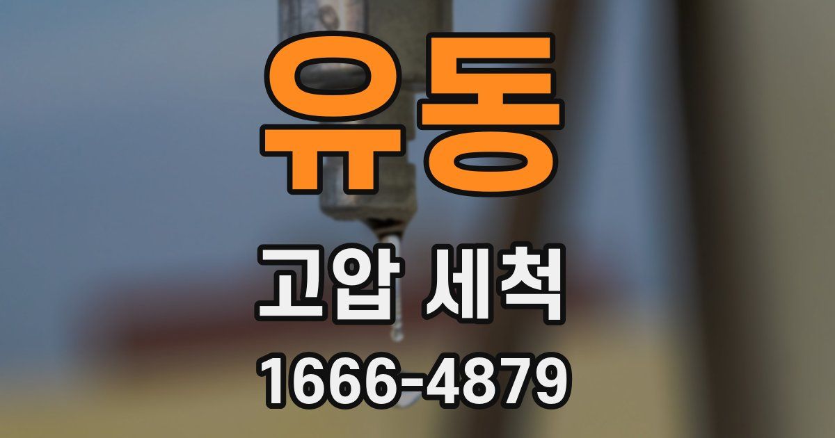 유동 고압 세척