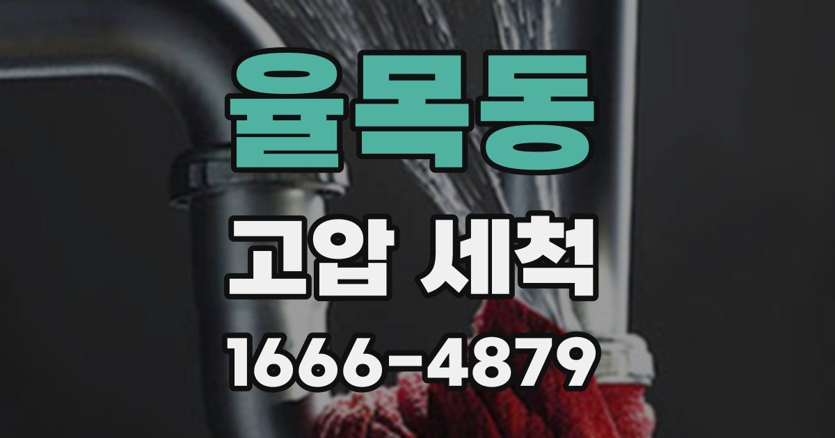 율목동 고압 세척