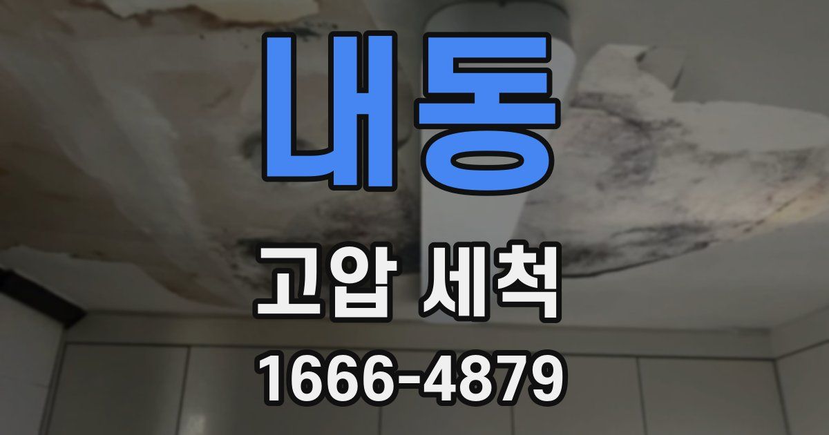 내동 고압 세척