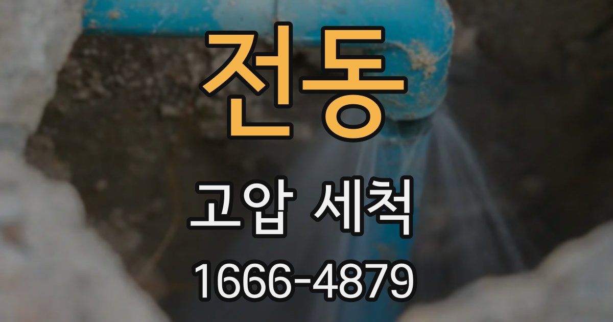 전동 고압 세척