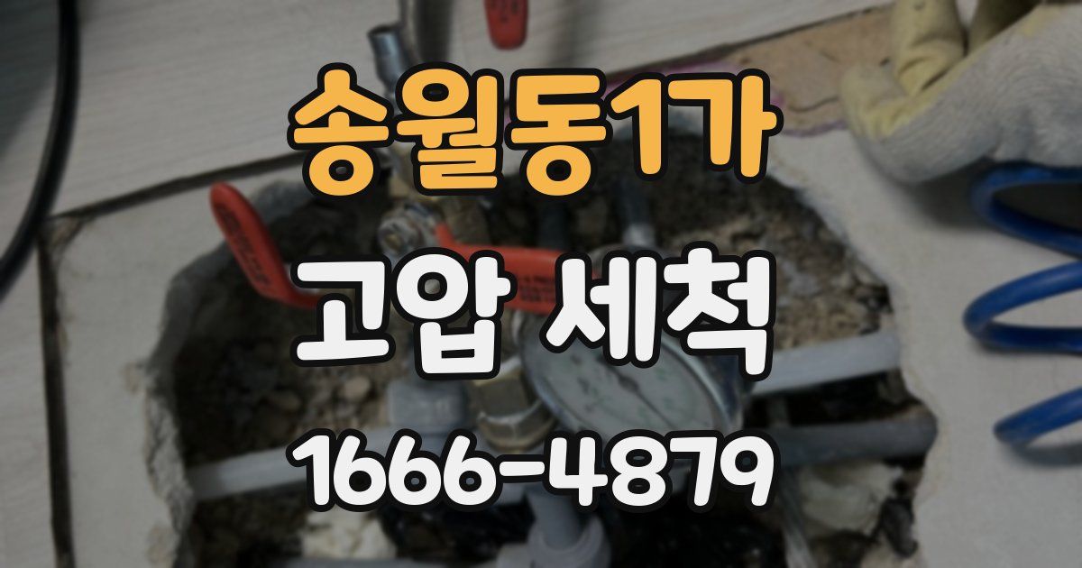 송월동1가 고압 세척