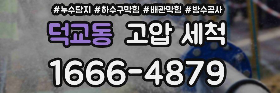 덕교동 고압 세척