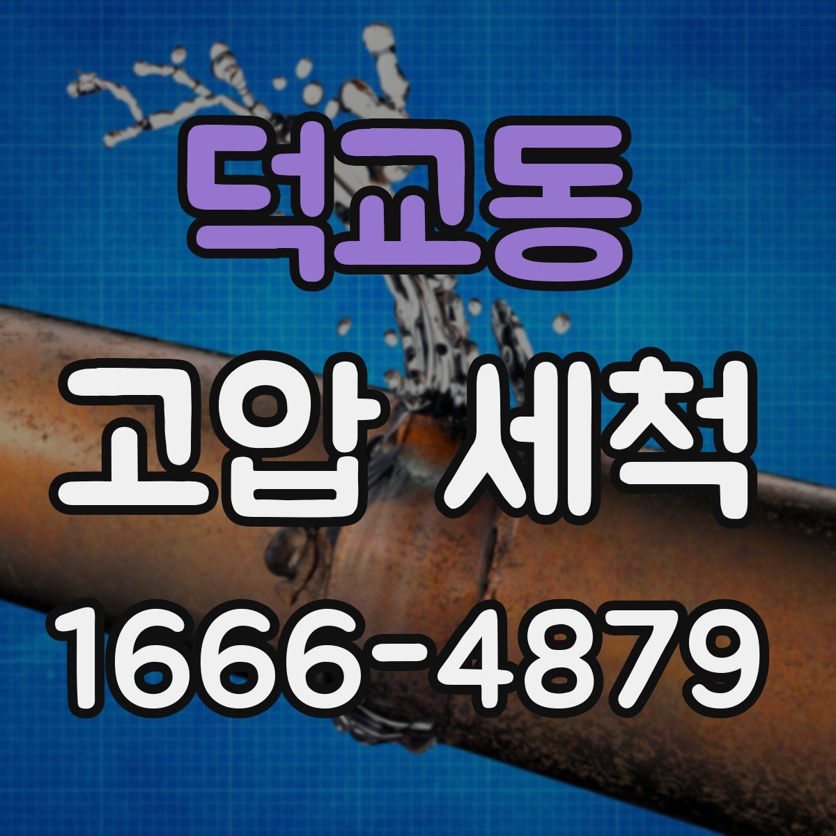 덕교동 고압 세척