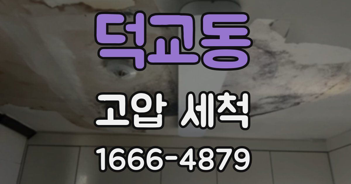 덕교동 고압 세척