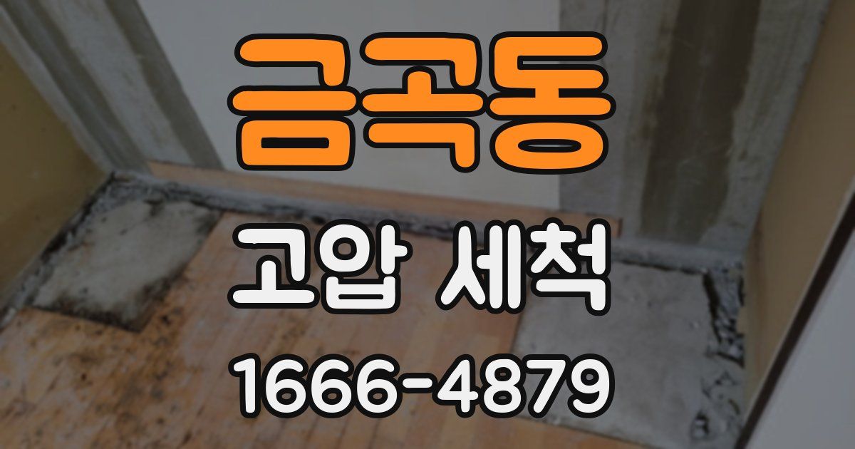 금곡동 고압 세척