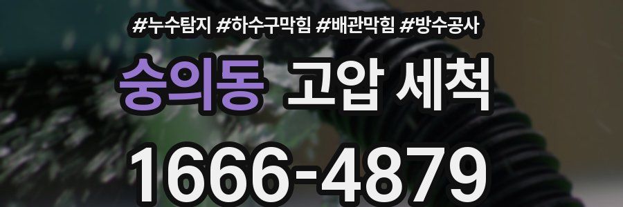숭의동 고압 세척