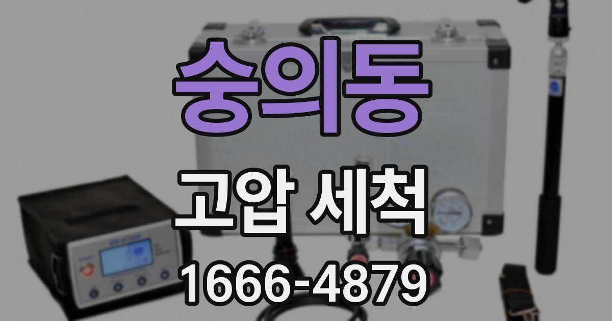 숭의동 고압 세척