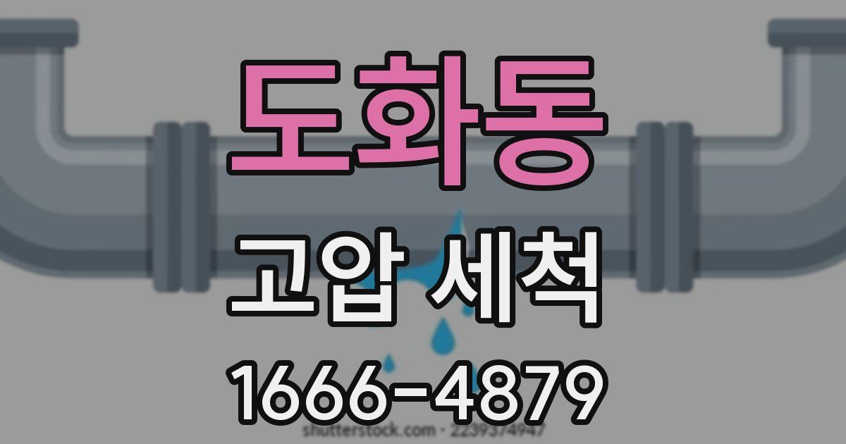 도화동 고압 세척