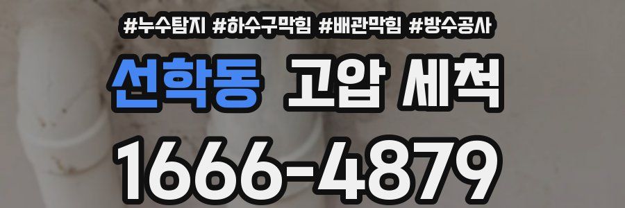 선학동 고압 세척