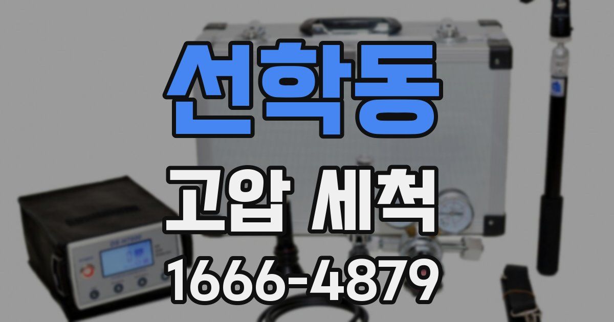 선학동 고압 세척