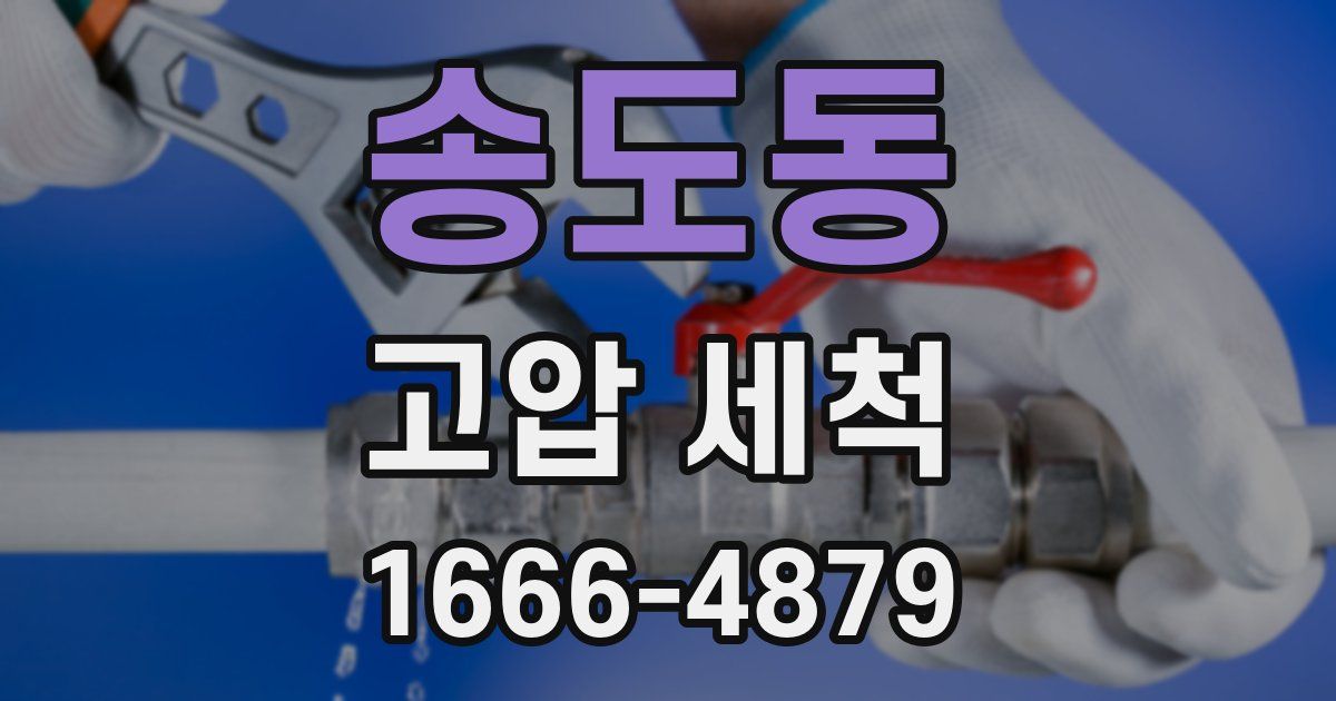 송도동 고압 세척