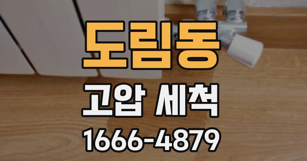 도림동 고압 세척