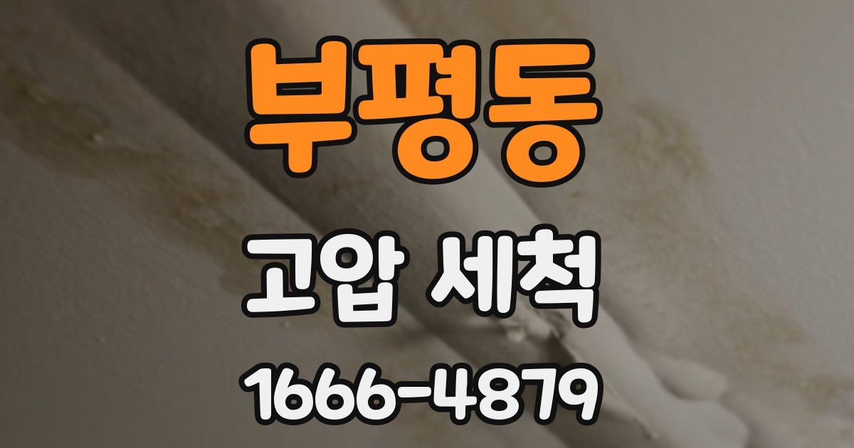 부평동 고압 세척
