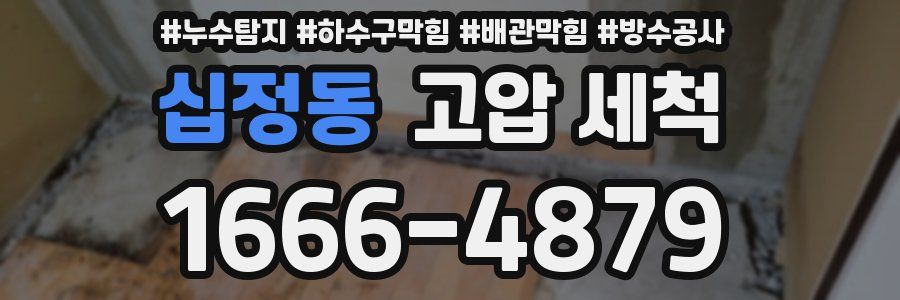 십정동 고압 세척