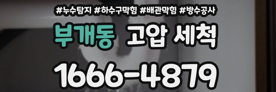 부개동 고압 세척