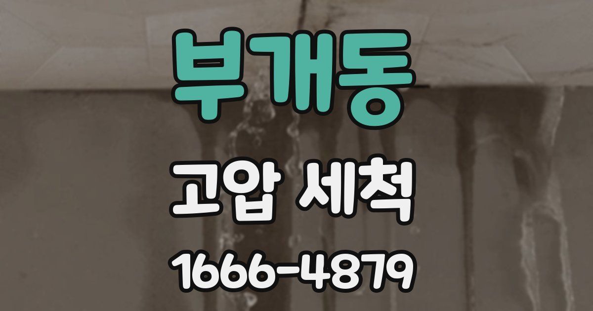 부개동 고압 세척